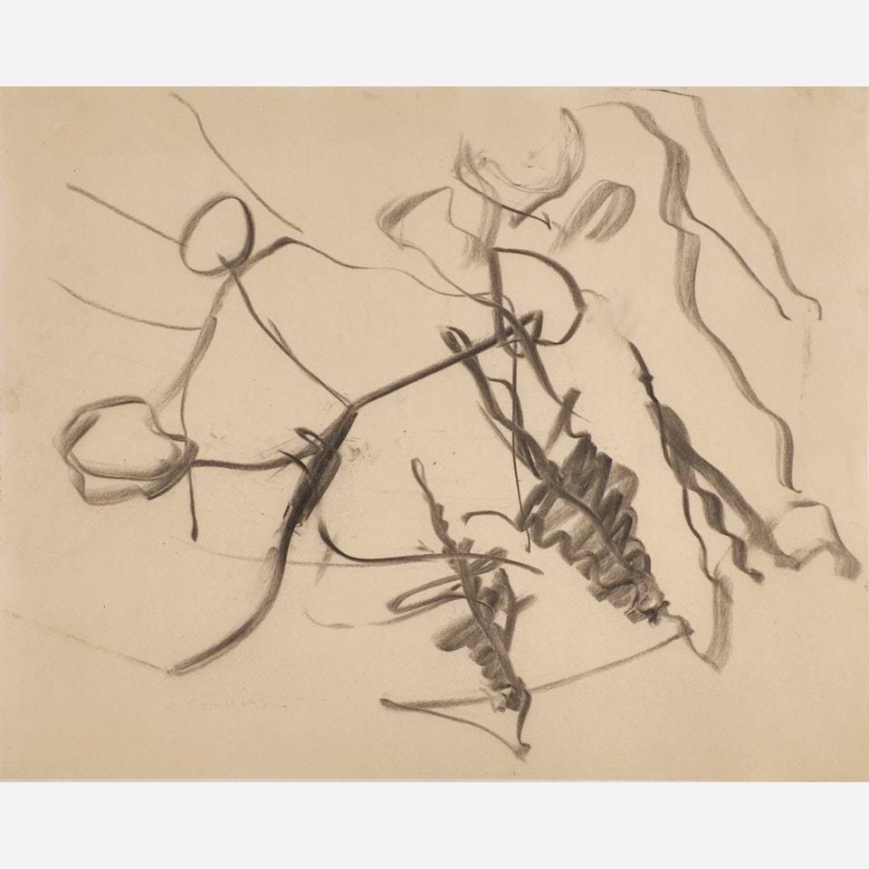 Untitled (Woman in Landscape) by Willem de Kooning