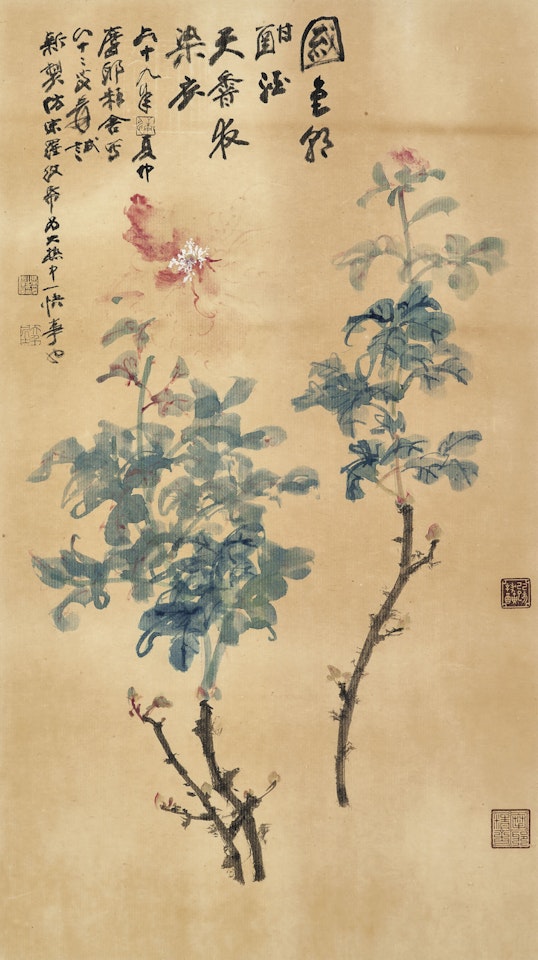 Peony by Zhang Daqian