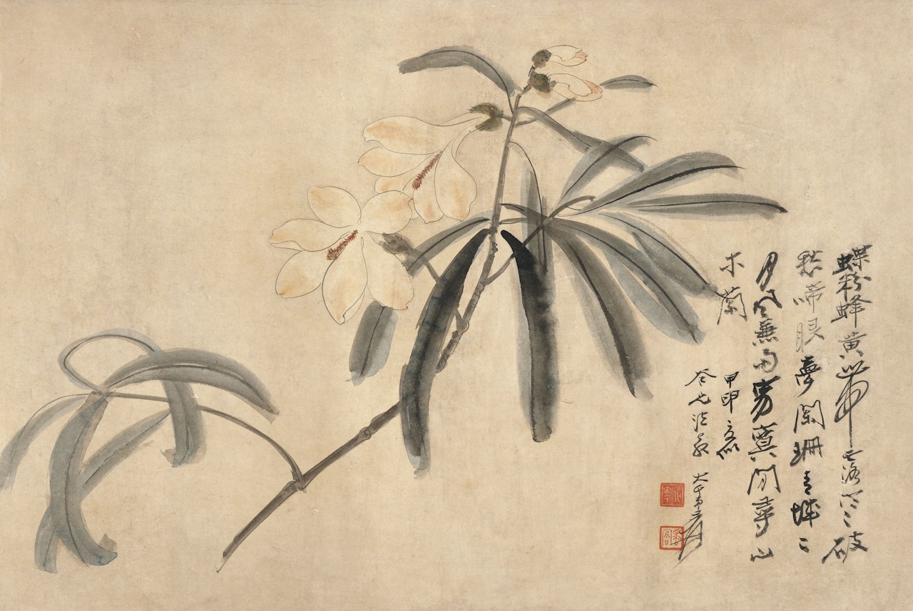 Magnolias by Zhang Daqian