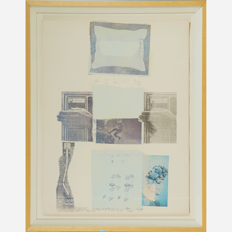 Two Reasons Birds Sing by Robert Rauschenberg