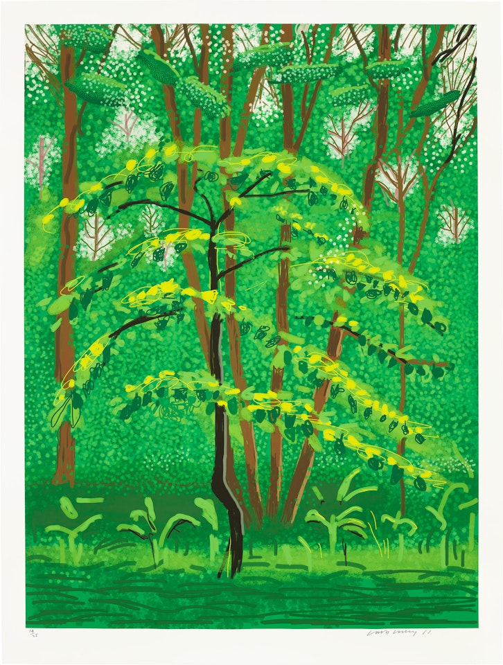 The Arrival of Spring in Woldgate, East Yorkshire in  (twenty eleven) - 19 May by David Hockney
