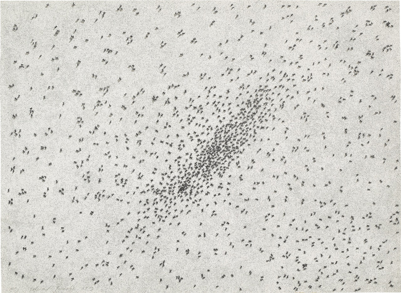 Insect Slant (Ants), from Reality and Paradoxes (E. 69) by Ed Ruscha