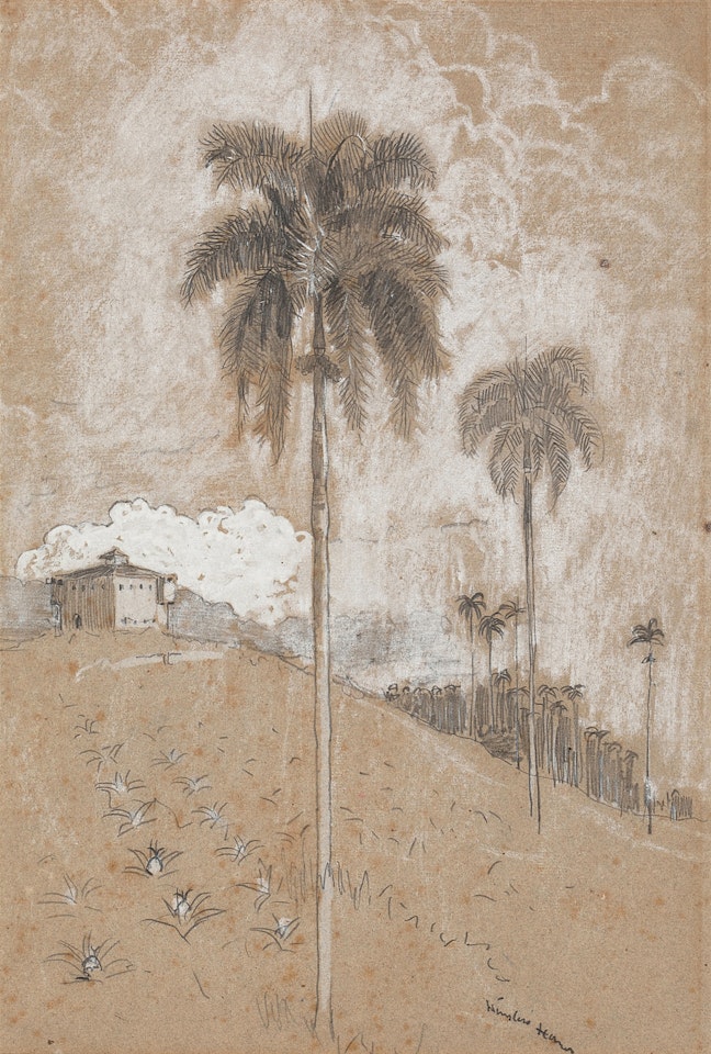 Tropical Landscape by Winslow Homer