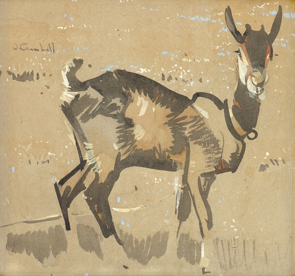 Study of a Goat by Joseph Crawhall