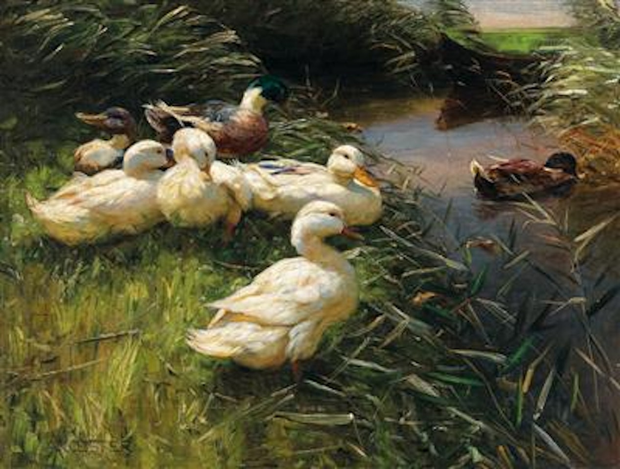 Ducks on the Lakeside in Reeds with a Boat by Alexander Koester
