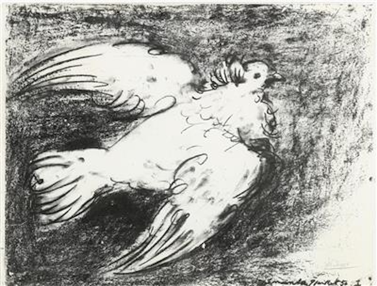 La colombe en vol, fonds noir by Pablo Picasso