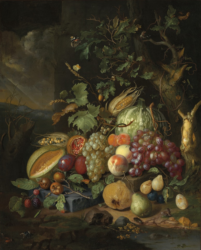 Cantaloupe, peaches, grapes, plums and other fruit and vegetables with insects on a forest floor by Jan Davidsz de Heem