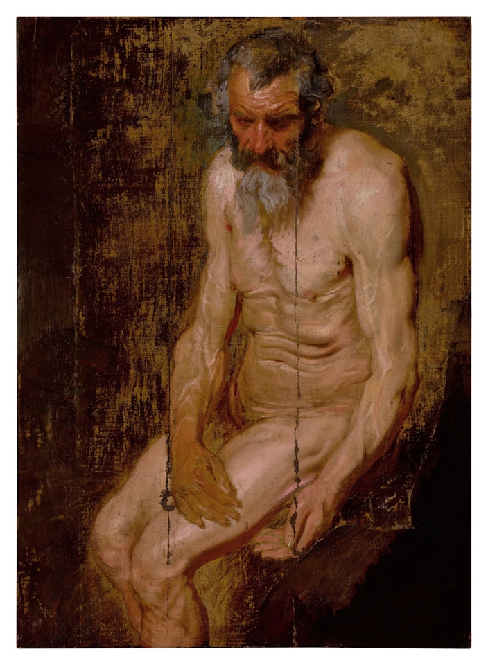 A study for Saint Jerome by Anthony van Dyck