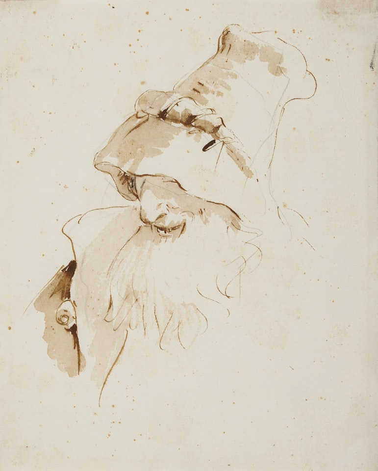 Head of a bearded old man by Giovanni Battista Tiepolo