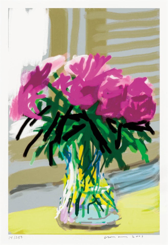 My Window, 'No. 535', 28th June 2009 with Art Edition Book by David Hockney