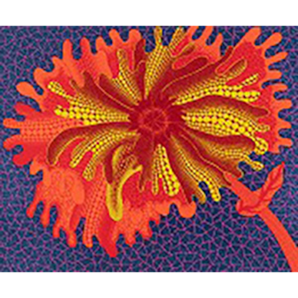 FLOWERS C (Kusama 351) by Yayoi Kusama