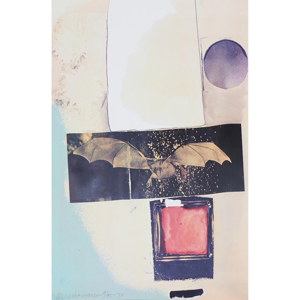 Rays by Robert Rauschenberg