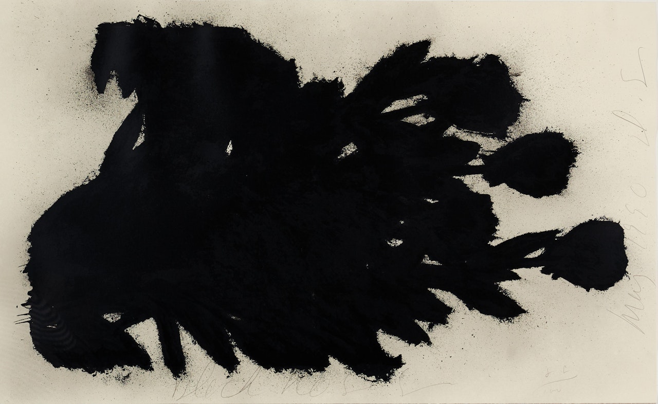 Black Roses by Donald Sultan