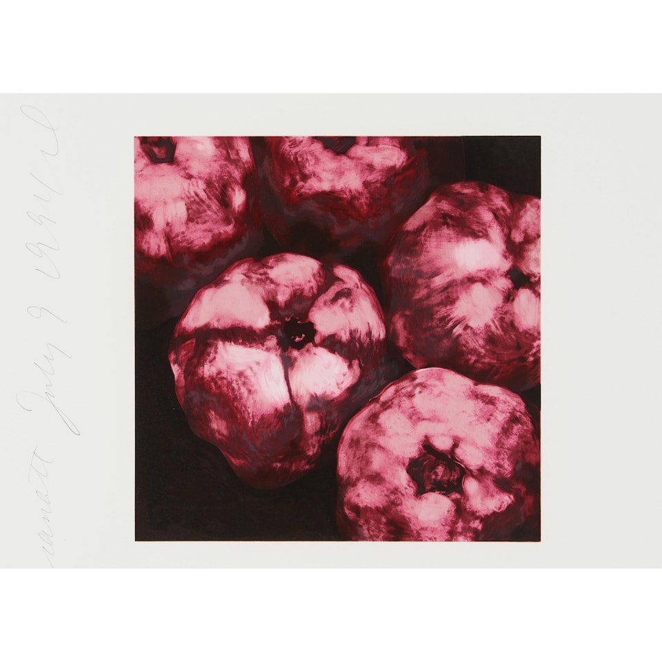 Pomegranate from the suite Fruits and Flowers III by Donald Sultan
