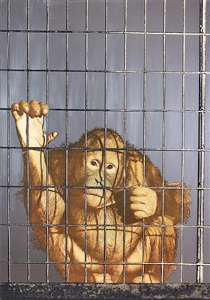 Scimmia by Michelangelo Pistoletto