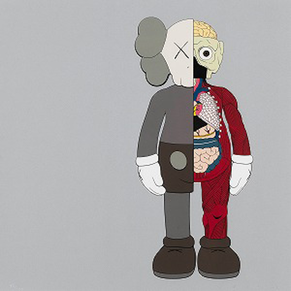 Dissected companion by Kaws