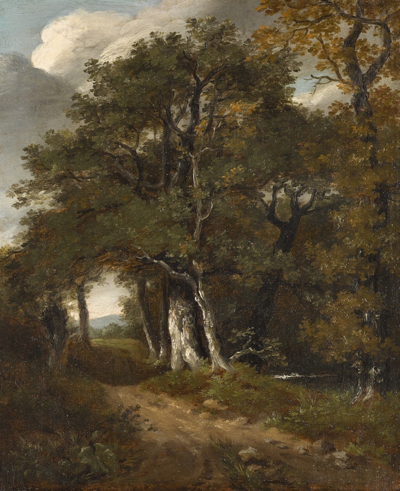 A woodland scene 《樹林一景》 by John Constable