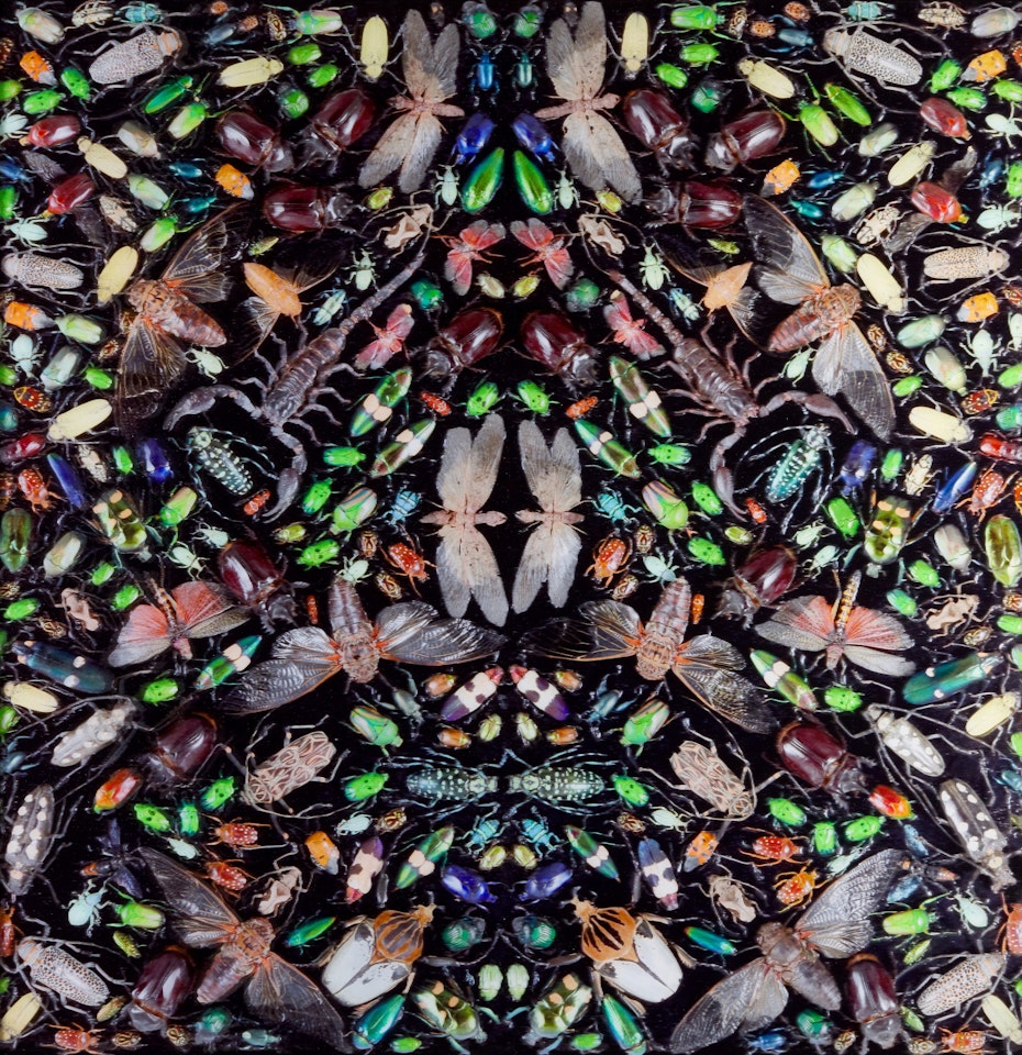 Inferno by Damien Hirst