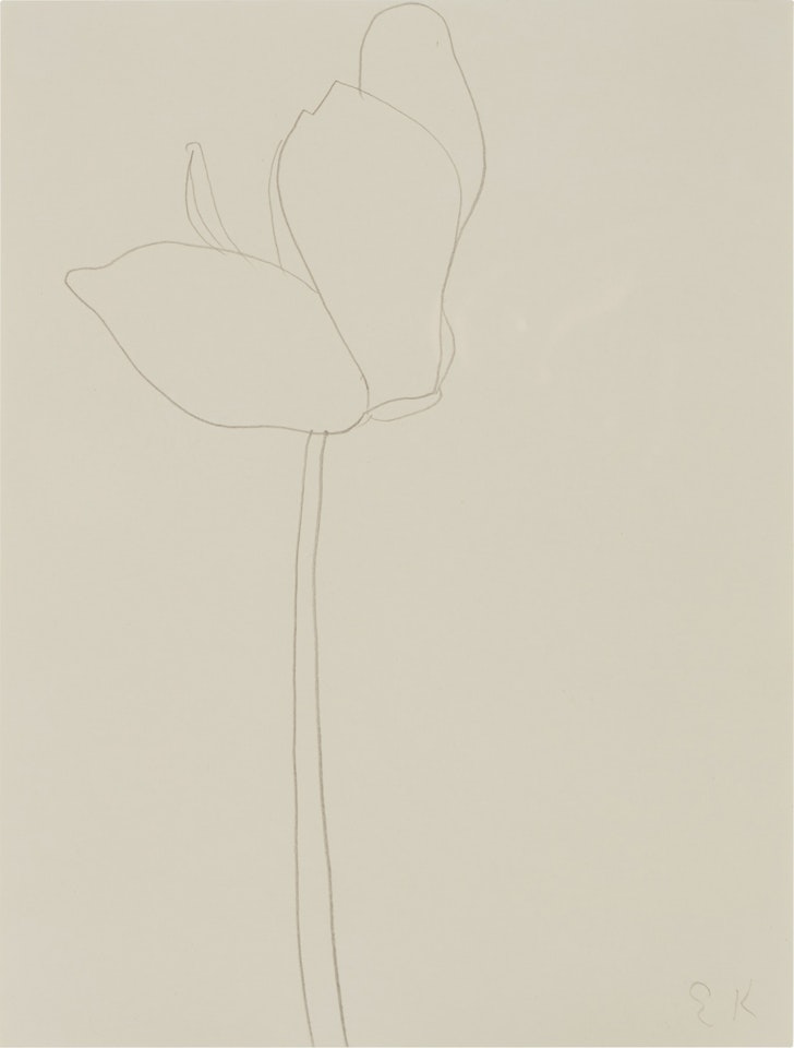 Cyclamen by Ellsworth Kelly