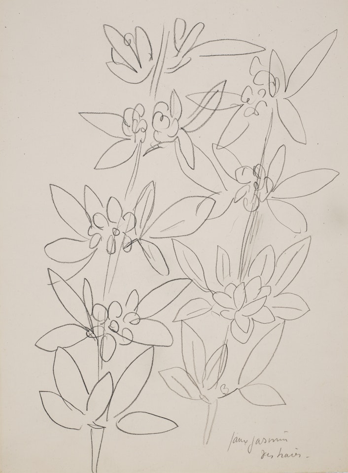 Faux jasmin des haies (recto); Masque chinois (verso) by Henri Matisse