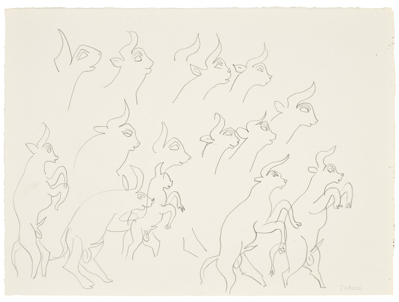 Etudes de boucs (recto); Feuilles (verso) by Henri Matisse