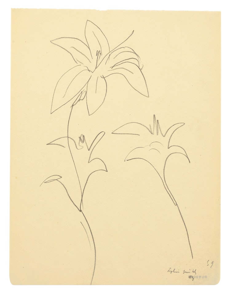 Lylium by Henri Matisse