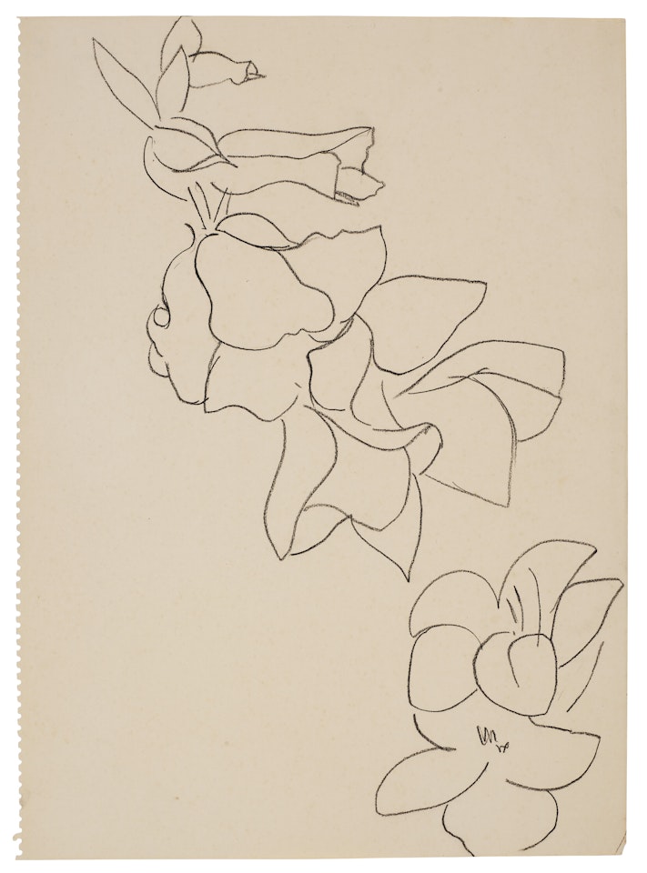 Fleurs et feuilles by Henri Matisse