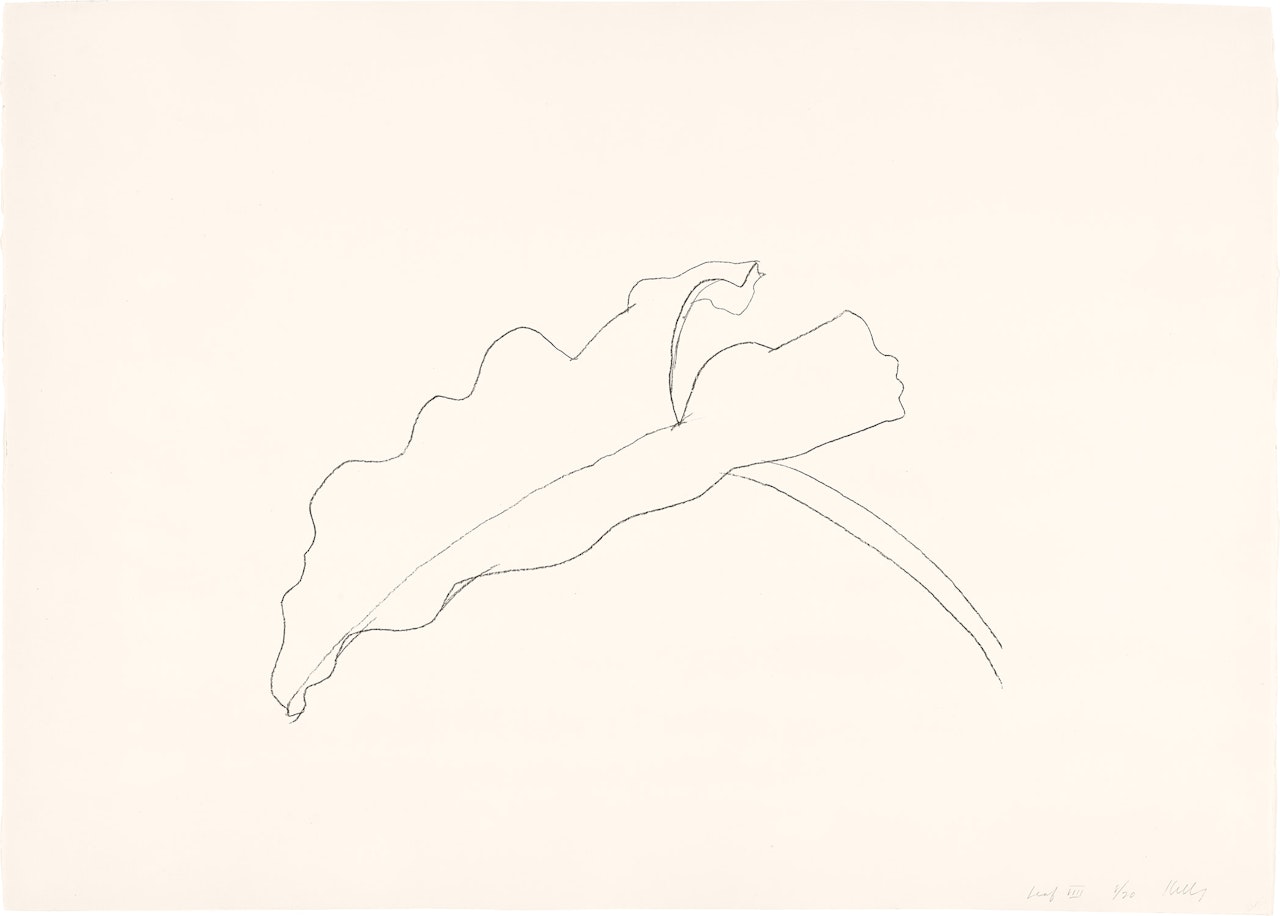 Leaf VIII, from Twelve Leaves (G. 810, A. 173) by Ellsworth Kelly