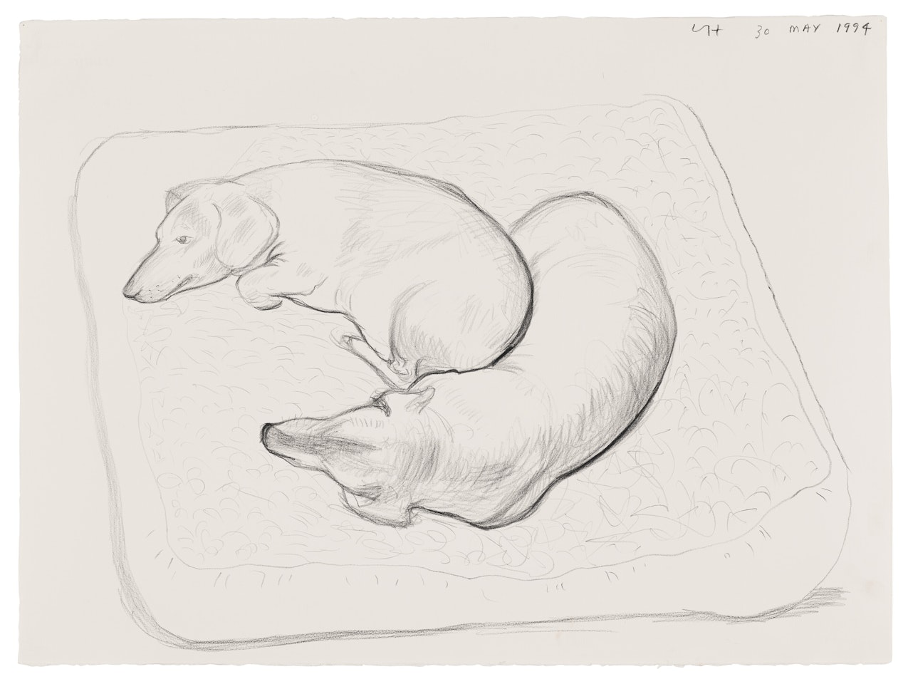 Boodgie and Stanley, 30 May by David Hockney
