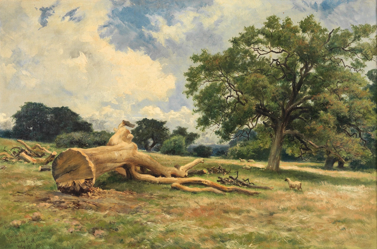 Danbury Park, Chelmsford by Keeley Halswelle