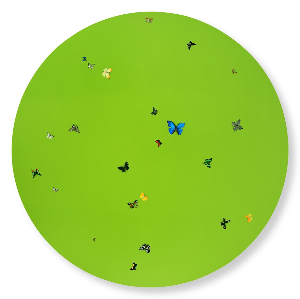 I Love You More Than Words Can Say by Damien Hirst
