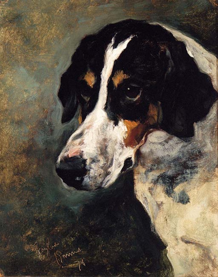 Gaylas, a foxhound by John Emms