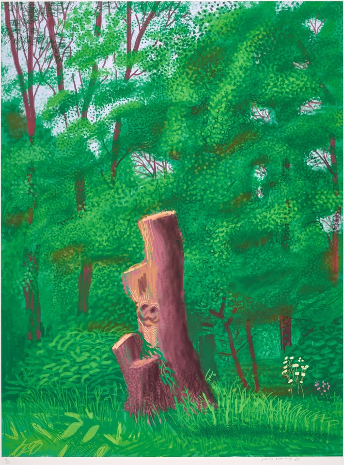 The Arrival of Spring in Woodgate, East Yorkshire in  (twenty eleven) - 22 May by David Hockney