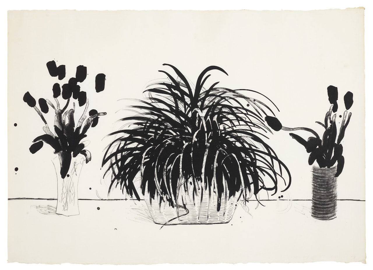 Two Vases of Cut Flowers and a Liriope Plant by David Hockney