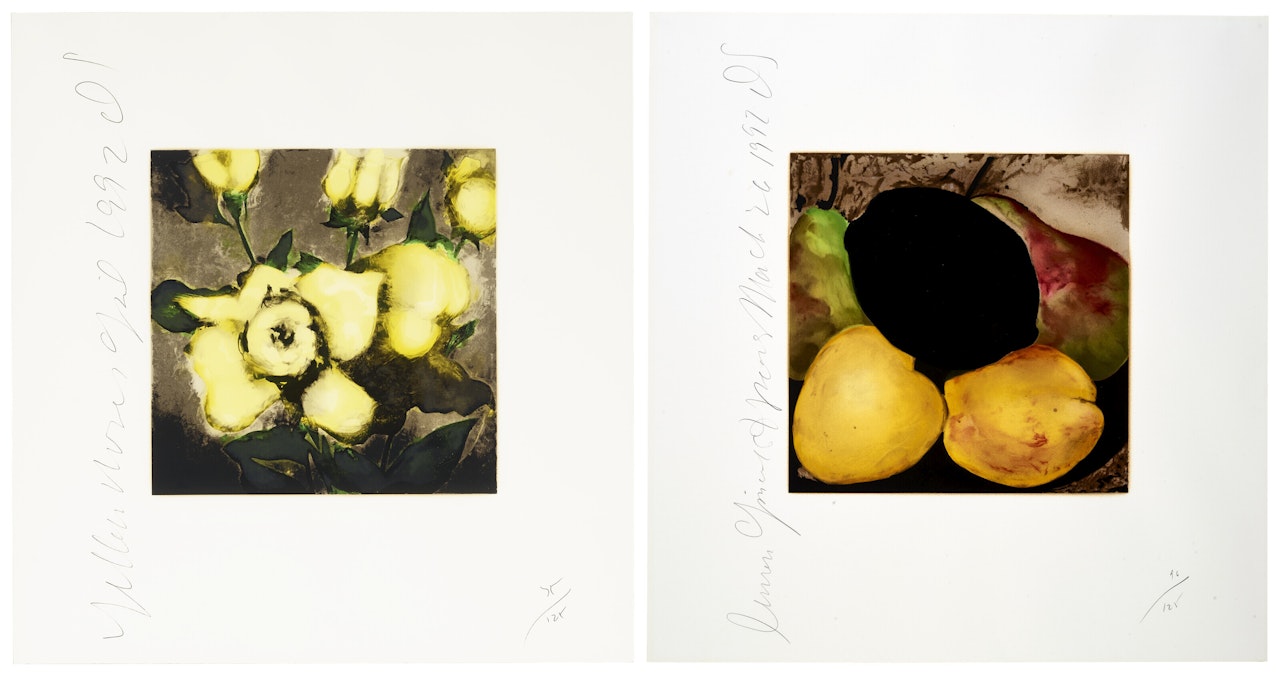 Fruits and Flowers: Two Prints by Donald Sultan