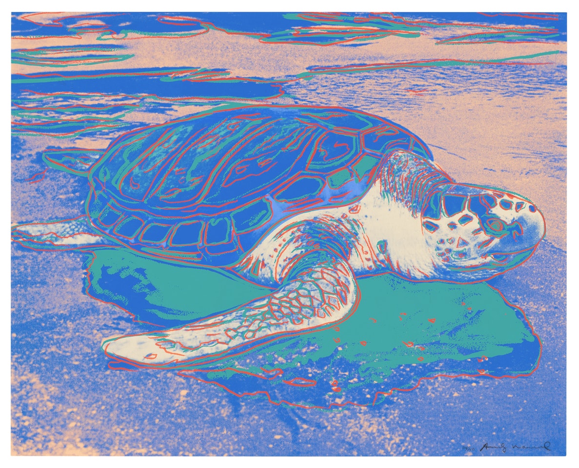 Turtle by Andy Warhol