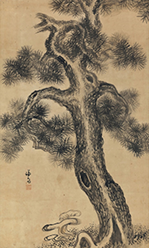 Pine Tree & Mushrooms by Chung Sun