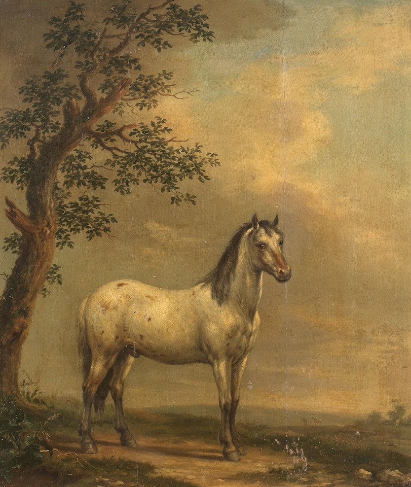 A spotted horse by Dutch School