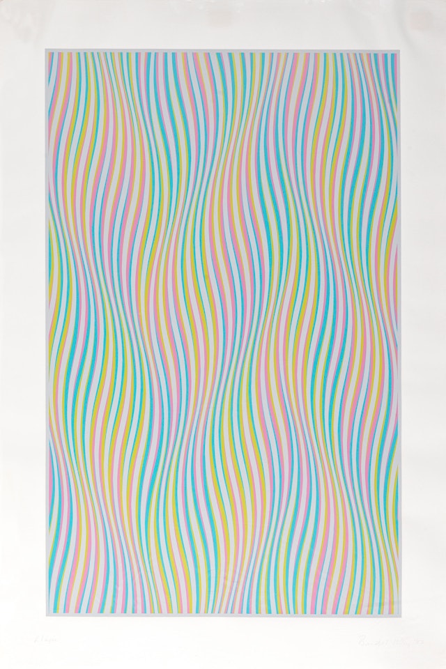 Elapse by Bridget Riley