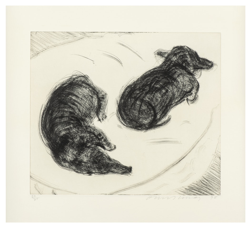 Dog Wall: One Plate by David Hockney