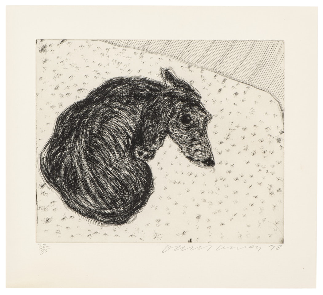 Dog Wall: One Plate by David Hockney
