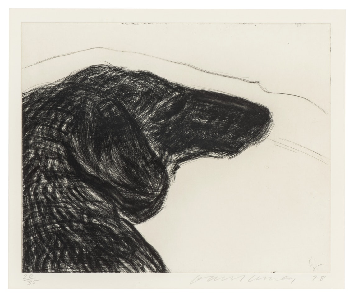 Dog Wall: One Plate by David Hockney