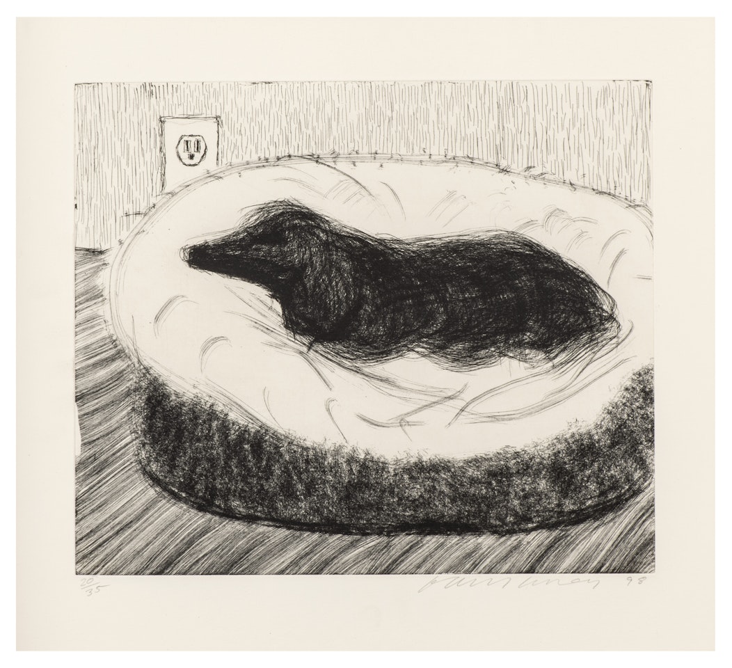 Dog Wall: One Plate by David Hockney