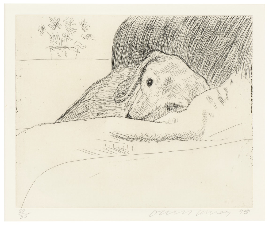 Dog Wall: One Plate by David Hockney