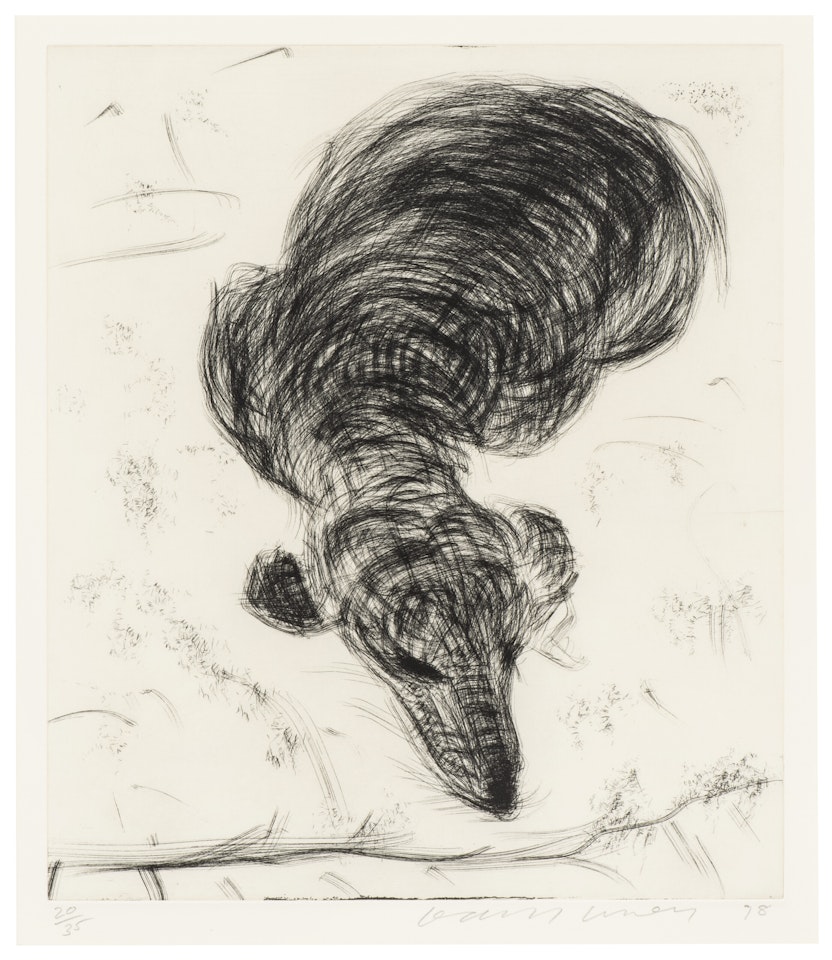 Dog Wall: One Plate by David Hockney