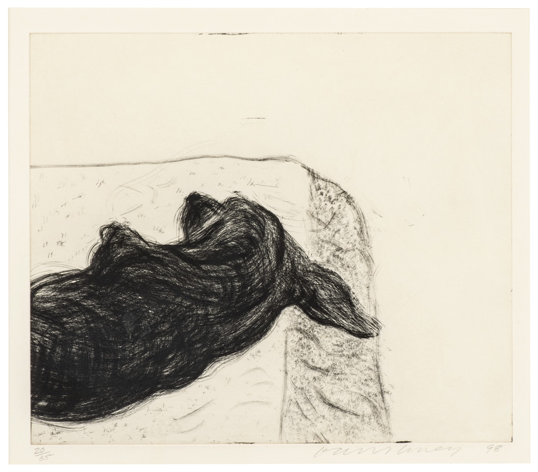 Dog Wall: One Plate by David Hockney