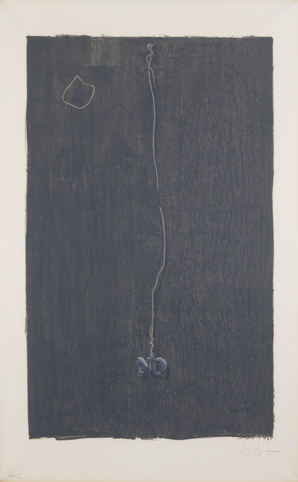 No by Jasper Johns