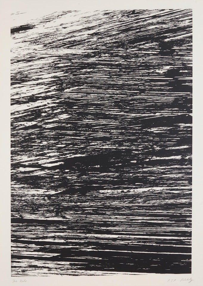 The Nile, from States of the River by Ellsworth Kelly