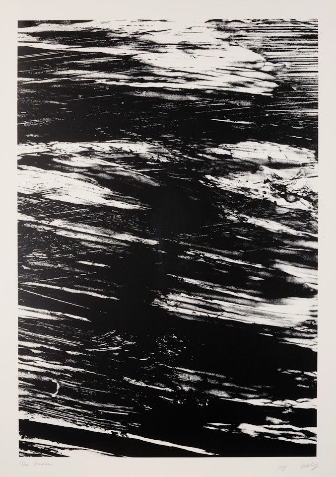 The Hudson, from States of the River by Ellsworth Kelly