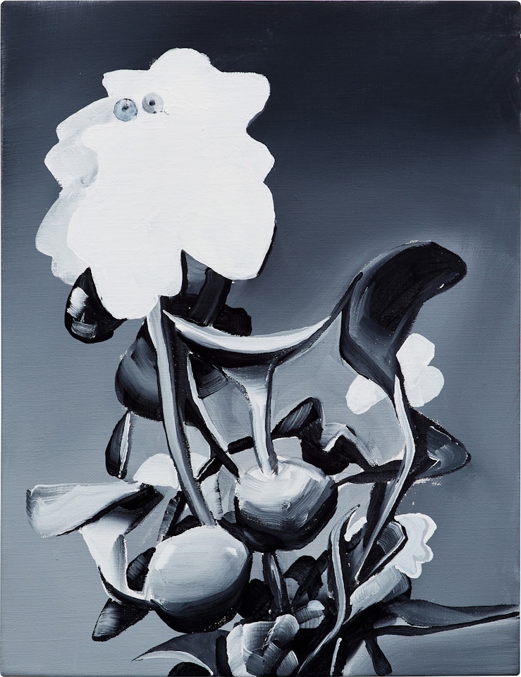 Eichhoria Grassipos by Tomoo Gokita